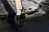 Thumbs/tn_Img_0754.jpg