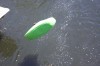 Thumbs/tn_Img_0785.jpg