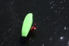 Thumbs/tn_Img_0786.jpg