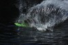 Thumbs/tn_Img_0844.jpg