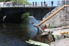 Thumbs/tn_Img_0873.jpg