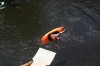 Thumbs/tn_Img_0918.jpg