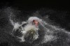 Thumbs/tn_Img_0923.jpg