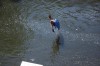 Thumbs/tn_Img_0955.jpg