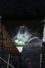 Thumbs/tn_Img_0991t.jpg