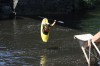 Thumbs/tn_Img_1013.jpg