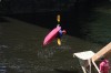 Thumbs/tn_Img_1127.jpg