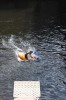 Thumbs/tn_Img_1459t.jpg