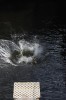 Thumbs/tn_Img_1460t.jpg