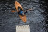 Thumbs/tn_Img_1467.jpg