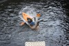 Thumbs/tn_Img_1469.jpg