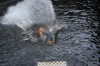 Thumbs/tn_Img_1470.jpg