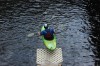 Thumbs/tn_Img_1482.jpg