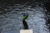 Thumbs/tn_Img_1484.jpg