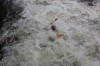 Thumbs/tn_Img_1523.jpg