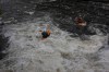 Thumbs/tn_Img_1544.jpg