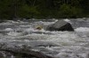 Thumbs/tn_Img_2940.jpg