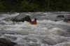 Thumbs/tn_Img_2944.jpg