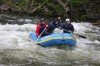 Thumbs/tn_Img_3201.jpg