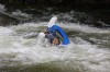 Thumbs/tn_Img_3308.jpg