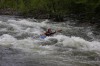Thumbs/tn_Img_3335.jpg