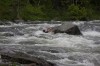 Thumbs/tn_Img_3370.jpg