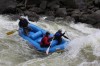 Thumbs/tn_Img_3664.jpg