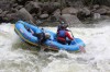 Thumbs/tn_Img_3667.jpg
