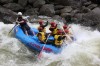 Thumbs/tn_Img_3685.jpg