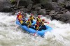 Thumbs/tn_Img_3695.jpg