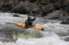 Thumbs/tn_Img_3745.jpg
