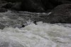 Thumbs/tn_Img_3746.jpg