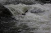 Thumbs/tn_Img_3775.jpg