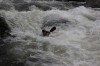 Thumbs/tn_Img_3777.jpg