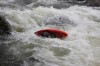 Thumbs/tn_Img_3778.jpg