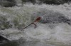 Thumbs/tn_Img_3908.jpg