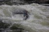 Thumbs/tn_Img_3910.jpg