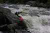 Thumbs/tn_Img_3942.jpg