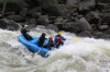 Thumbs/tn_Img_3983.jpg