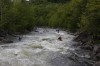 Thumbs/tn_Img_3988.jpg