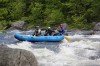 Thumbs/tn_Img_3989.jpg