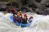 Thumbs/tn_Img_4000.jpg