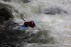 Thumbs/tn_Img_4125.jpg