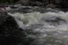 Thumbs/tn_Img_4322.jpg
