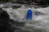 Thumbs/tn_Img_4323.jpg