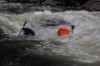 Thumbs/tn_Img_4336.jpg