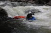 Thumbs/tn_Img_4343.jpg
