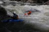 Thumbs/tn_Img_4345.jpg