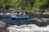 Thumbs/tn_Img_4561.jpg