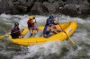 Thumbs/tn_Img_4783.jpg